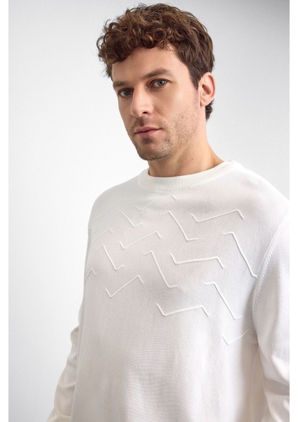 Regular Fit Bisiklet Yaka Işleme Detaylı Triko Kazak Erkek Kazak B35W40042 101 modelleri