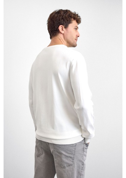 Regular Fit Bisiklet Yaka Işleme Detaylı Triko Kazak Erkek Kazak B35W40042 101 indirimleri