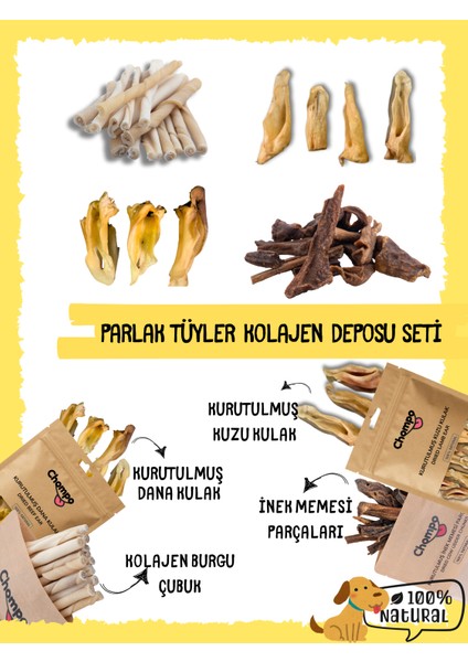 Parlak Tüyler Kolajen Deposu Seti