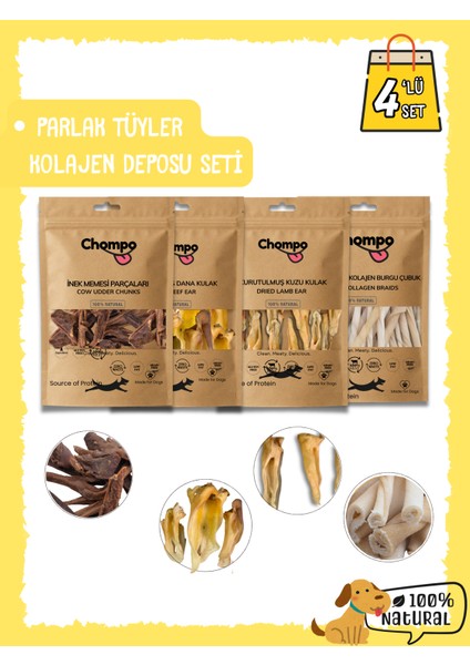 Parlak Tüyler Kolajen Deposu Seti fiyatları