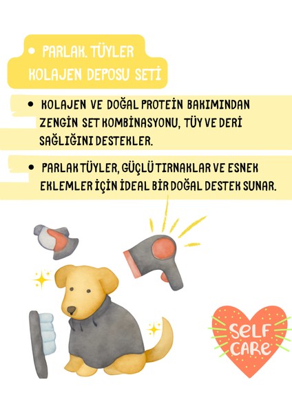 Parlak Tüyler Kolajen Deposu Seti modelleri