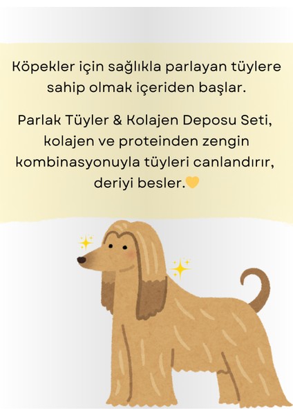 Parlak Tüyler Kolajen Deposu Seti indirimleri