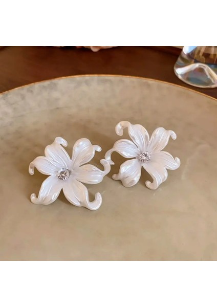 Set.up Taşlı Çiçek Model Küpe fiyatları