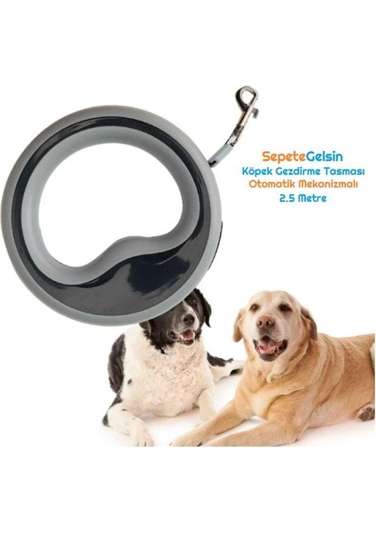 Köpek Gezdirme Tasması Otomatik Mekanizmalı 2.5 Metre