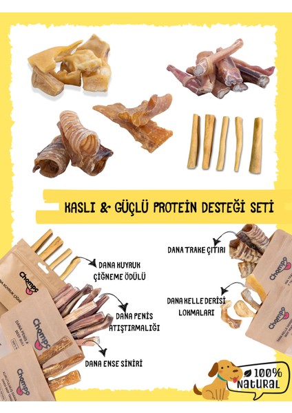 Kaslı & Güçlü Protein Desteği Seti
