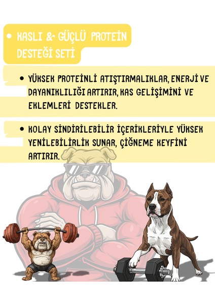 Kaslı & Güçlü Protein Desteği Seti modelleri