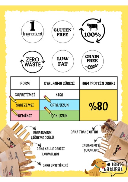 Kaslı & Güçlü Protein Desteği Seti fırsatları