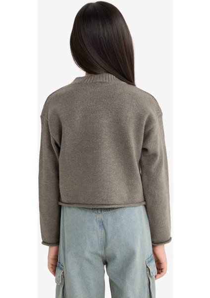 Kız Çocuk Standart Fit Bisiklet Yaka Triko Kazak F0108A825WN