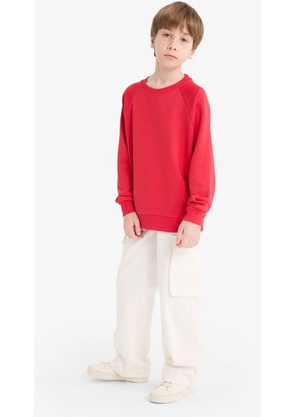 Erkek Çocuk Bisiklet Yaka Basic Düz Okul Sweatshirt E8415A825AU