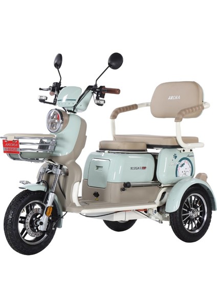 Rüzgar New 3 Tekerli Kızaklı Elektrikli Motosiklet Yeşil fiyatları