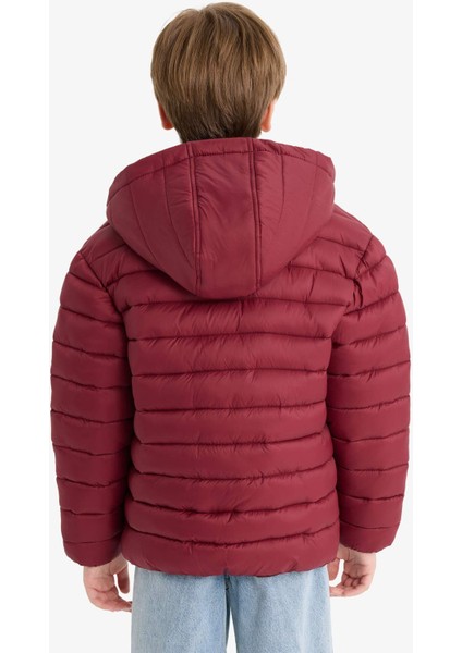 Erkek Çocuk Su Geçirmez Kapüşonlu Fermuarlı Şişme Mont E8688A825AU