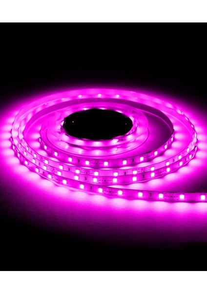 12V 4040 Iç Mekan Pembe Işık 2000K Şerit LED 10 Metre modelleri