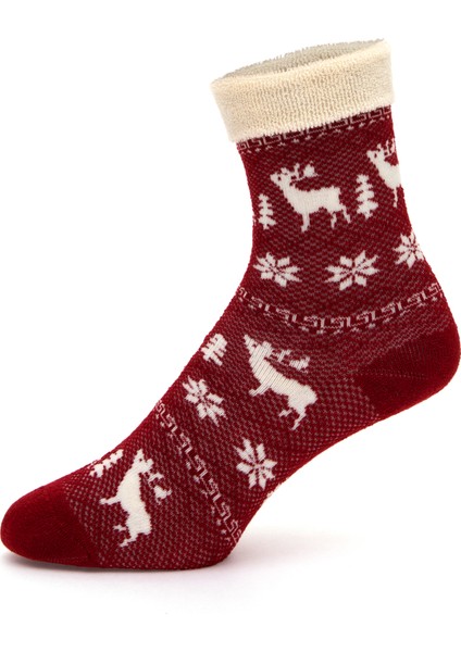 Kadın Kırmızı Çorap 50317752-VR030