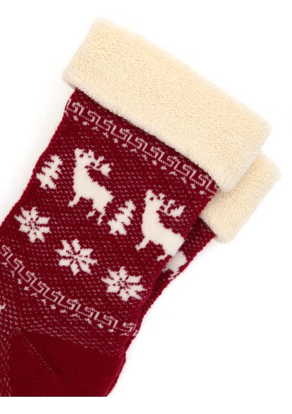 Kadın Kırmızı Çorap 50317752-VR030 modelleri