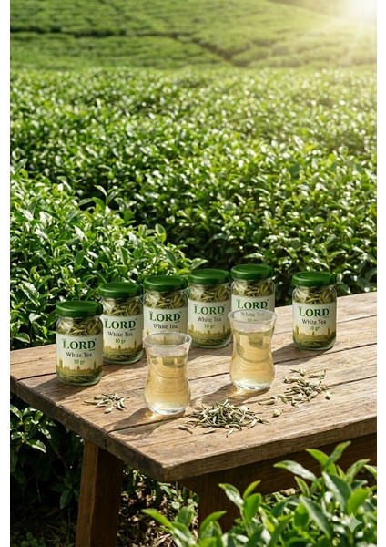 Beyaz Çay 10 G × 6 Adet – 5 + 1 Hediyeli Orijinal Şifalı Çay fırsatları