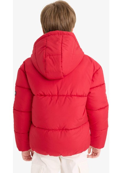 Erkek Çocuk Su Geçirmez Kapüşonlu Fermuarlı Şişme Mont E9021A825WN