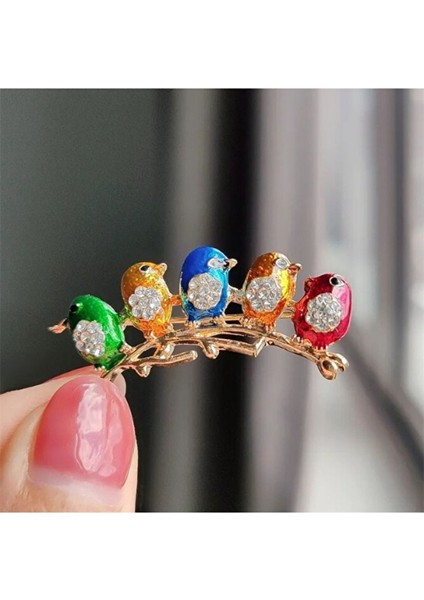 Sıralı 5 Kuş Broş fırsatları