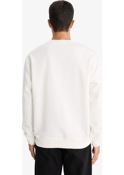 Relax Fit Bisiklet Yaka Kalın İçi Yumuşak Tüylü Basic Düz Sweatshirt T5139AZ25AU