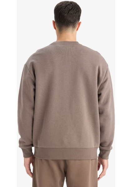 Relax Fit Bisiklet Yaka Kalın İçi Yumuşak Tüylü Basic Düz Sweatshirt T5139AZ25AU