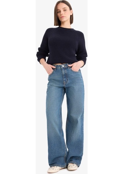 Regular Fit Bisiklet Yaka Triko Kazak L2567AZ25WN