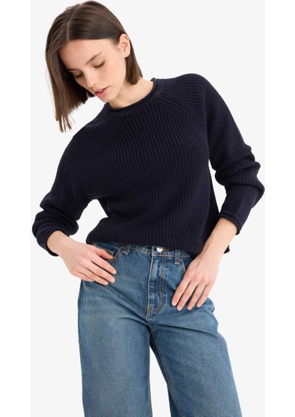 Regular Fit Bisiklet Yaka Triko Kazak L2567AZ25WN