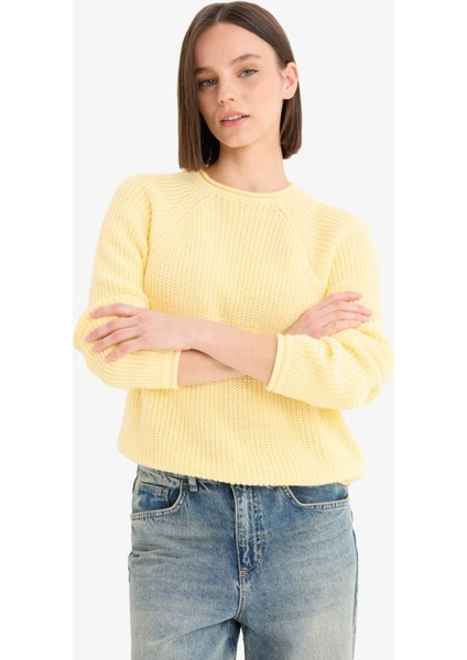 Coool Regular Fit Bisiklet Yaka Triko Kazak L2567AZ25WN