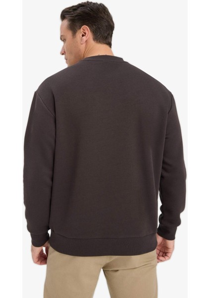 Relax Fit Bisiklet Yaka Kalın İçi Yumuşak Tüylü Basic Düz Sweatshirt T5139AZ25AU