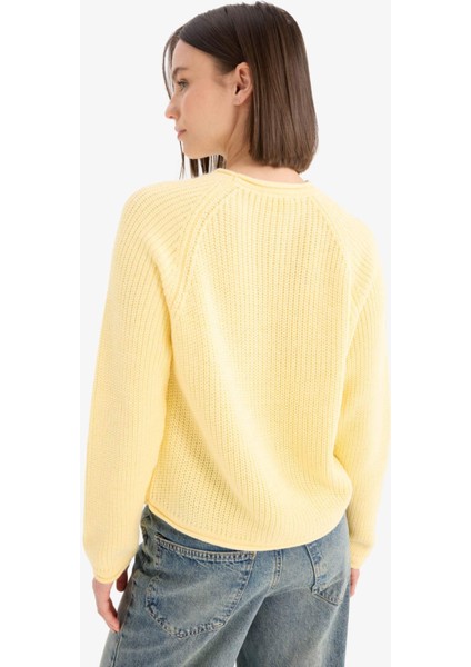 Coool Regular Fit Bisiklet Yaka Triko Kazak L2567AZ25WN