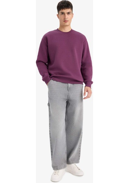 Relax Fit Bisiklet Yaka Kalın İçi Yumuşak Tüylü Basic Düz Sweatshirt T5139AZ25AU