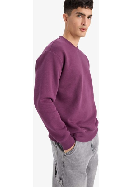 Relax Fit Bisiklet Yaka Kalın İçi Yumuşak Tüylü Basic Düz Sweatshirt T5139AZ25AU