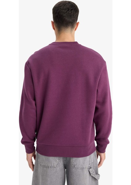 Relax Fit Bisiklet Yaka Kalın İçi Yumuşak Tüylü Basic Düz Sweatshirt T5139AZ25AU