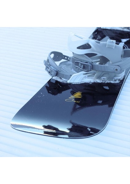 Facts 2025 Snowboard