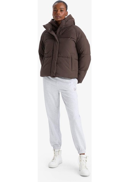 Su İtici Regular Fit Dik Yaka Reglan Kol Kışlık Şişme Mont A1550AX25WN