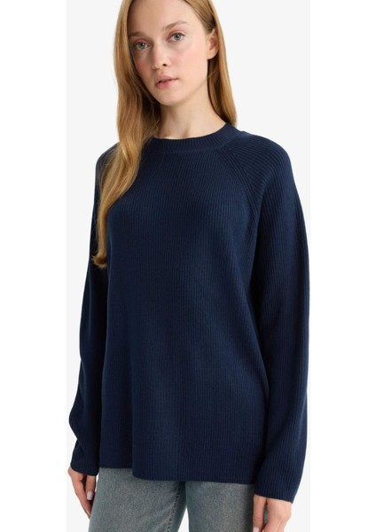 Regular Fit Bisiklet Yaka Basic Düz Triko Kazak D6911AX25WN