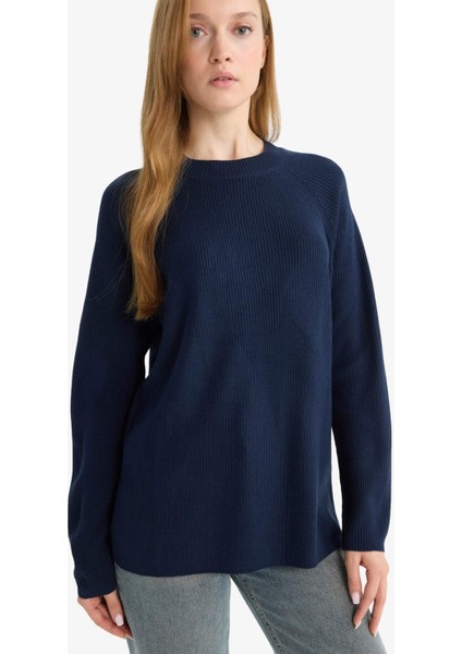 Regular Fit Bisiklet Yaka Basic Düz Triko Kazak D6911AX25WN