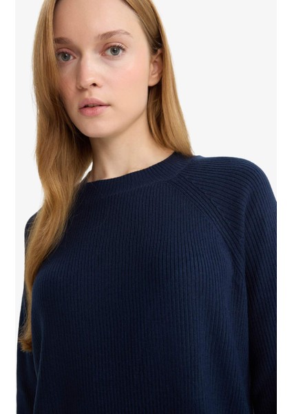 Regular Fit Bisiklet Yaka Basic Düz Triko Kazak D6911AX25WN