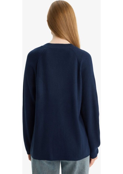 Regular Fit Bisiklet Yaka Basic Düz Triko Kazak D6911AX25WN