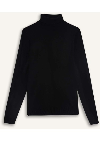 Slim Fit Dar Kesim Balıkçı Yaka Basic Düz Triko Kazak R1124AZ25WN