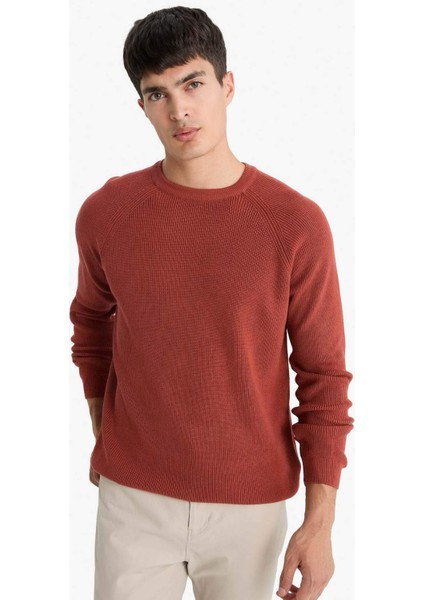 Standart Fit Bisiklet Yaka Triko Kazak A8458AX25WN