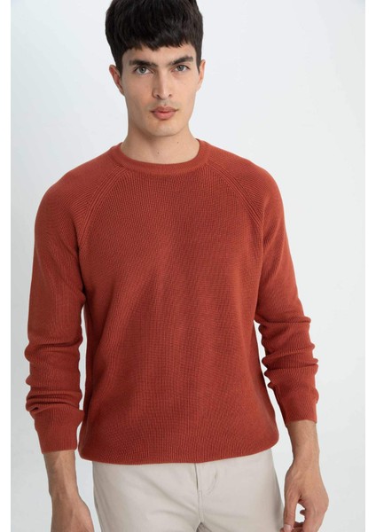 Standart Fit Bisiklet Yaka Triko Kazak A8458AX25WN