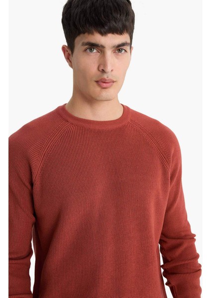 Standart Fit Bisiklet Yaka Triko Kazak A8458AX25WN