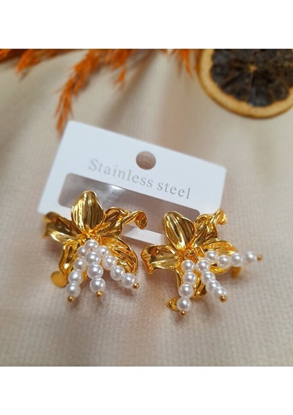 Çelik Küpe fiyatları