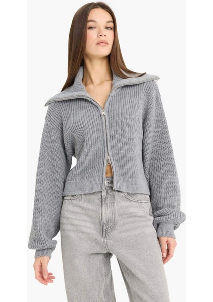 Slim Fit Dar Kesim Polo Yaka Fermuarlı Triko Hırka A3333AX25WN