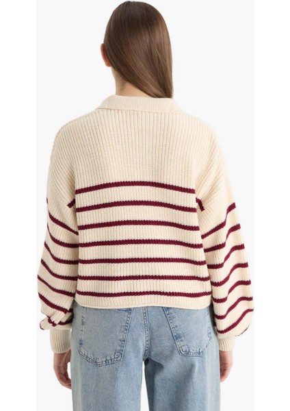 Relax Fit Polo Yaka Düğmeli Çizgili Triko Kazak C4918AX25WN