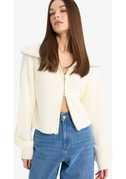 Slim Fit Dar Kesim Polo Yaka Fermuarlı Triko Hırka A3333AX25WN