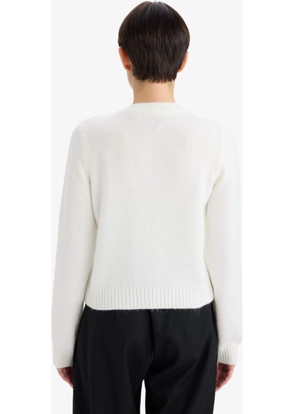 Regular Fit Bisiklet Yaka Basic Düz Düğmeli Soft Touch Yumuşak Triko Hırka E3654AX25WN