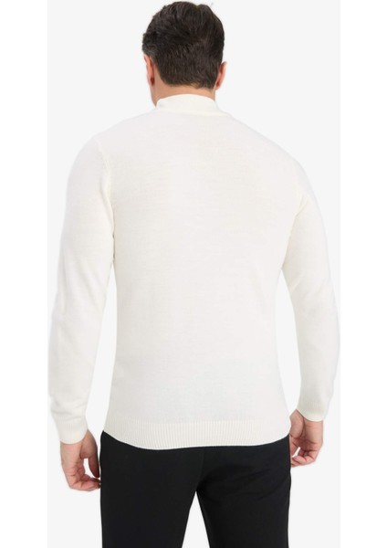 Slim Fit Dar Kesim Balıkçı Yaka Basic Düz Triko Kazak R1127AZ25WN