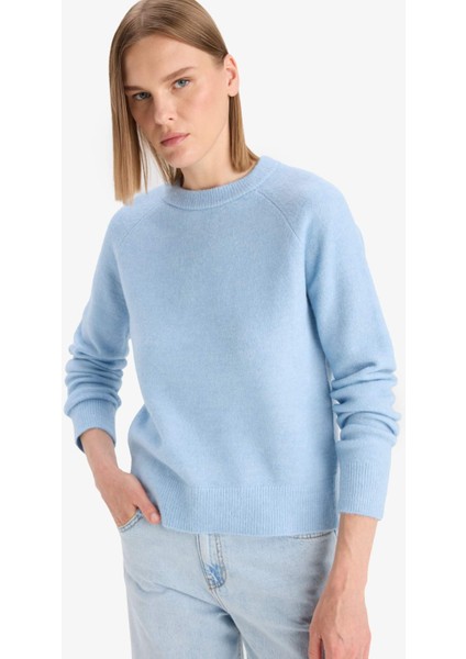 Regular Fit Bisiklet Yaka Basic Düz Soft Touch Yumuşak Triko Kazak D8678AX25WN