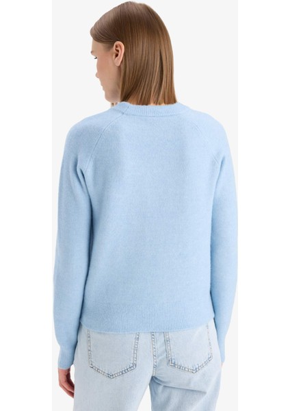 Regular Fit Bisiklet Yaka Basic Düz Soft Touch Yumuşak Triko Kazak D8678AX25WN