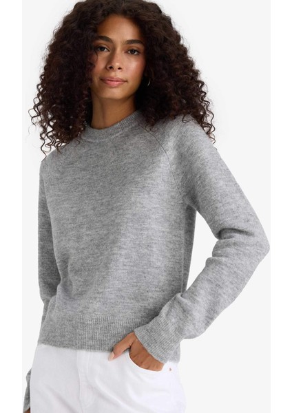 Regular Fit Bisiklet Yaka Basic Düz Soft Touch Yumuşak Triko Kazak D8678AX25WN